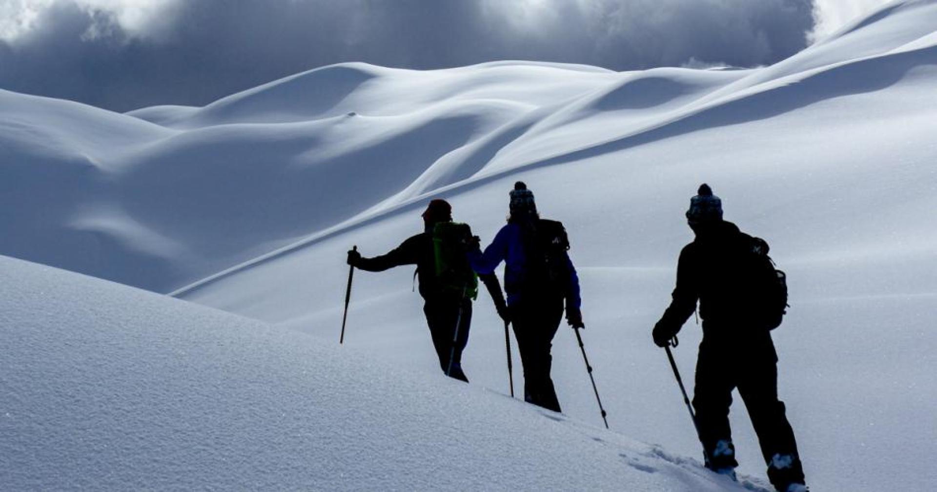 Snowshoeing