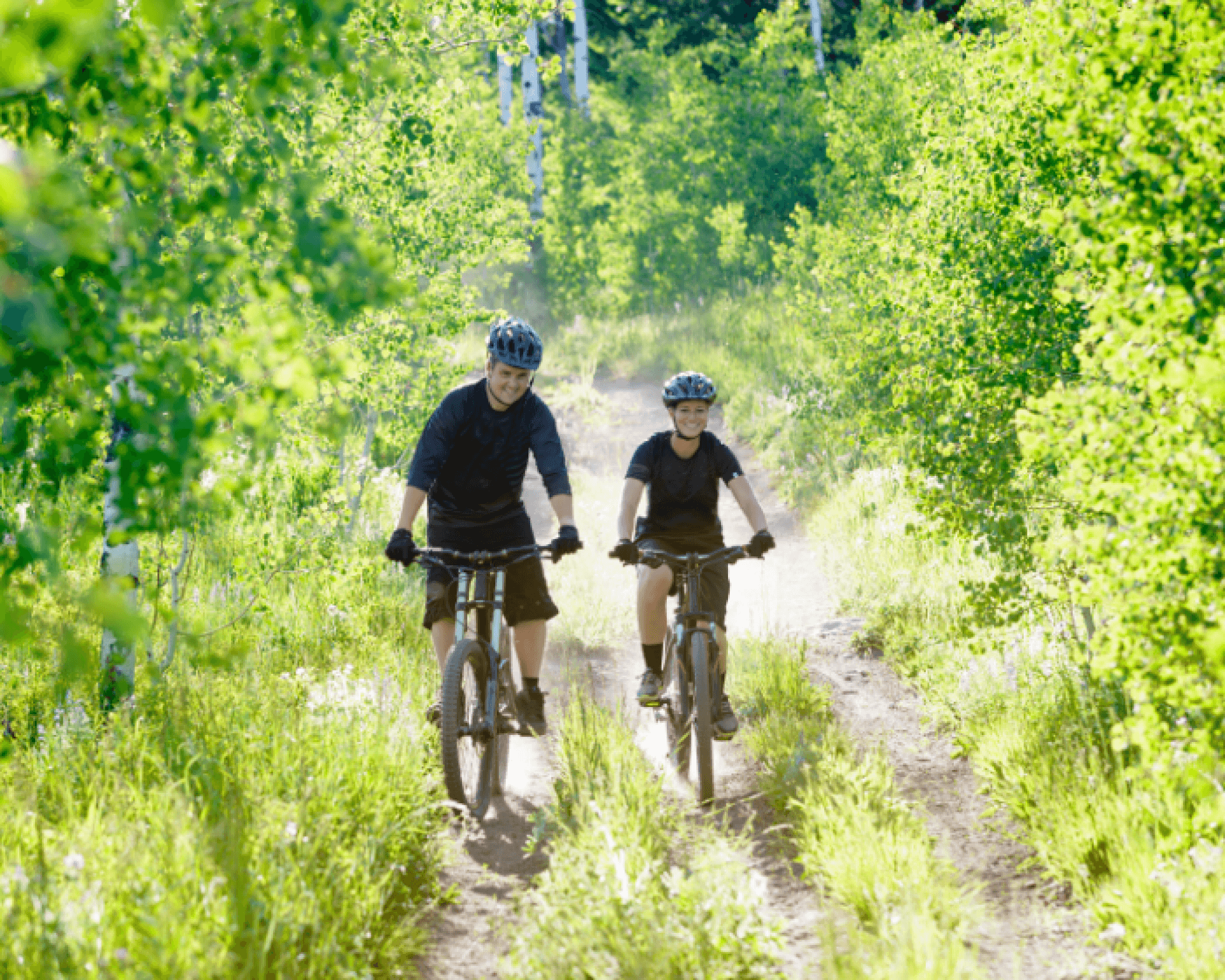 Road bikes and mountain bikes.